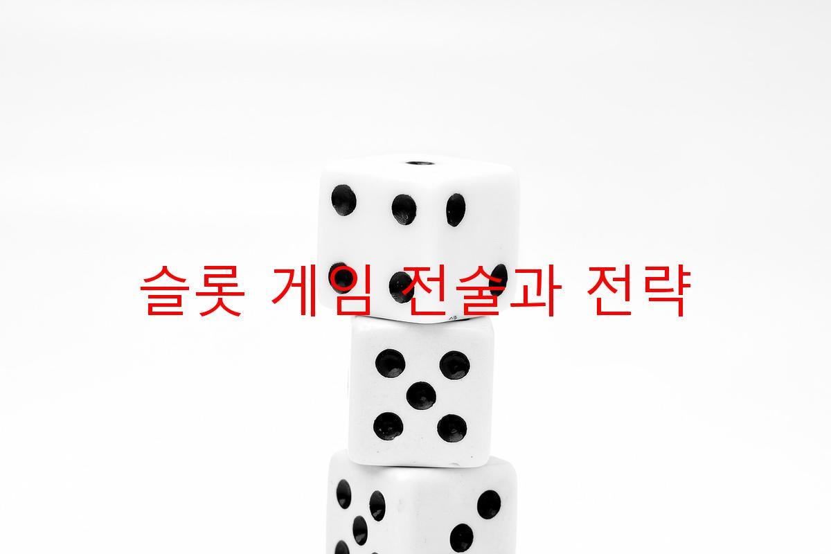 슬롯 게임 전술과 전략