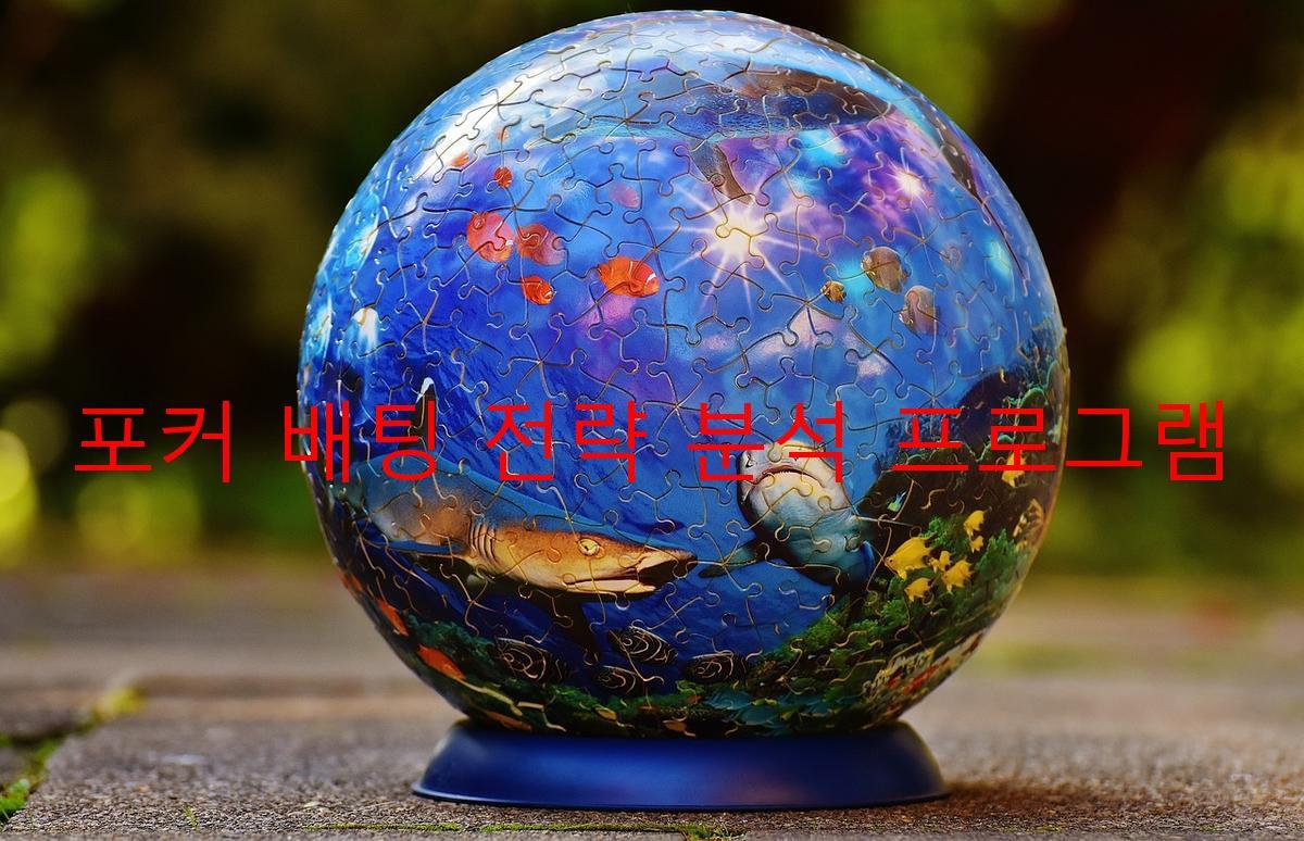 포커 배팅 전략 분석 프로그램