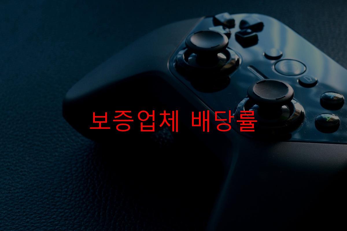 보증업체 배당률