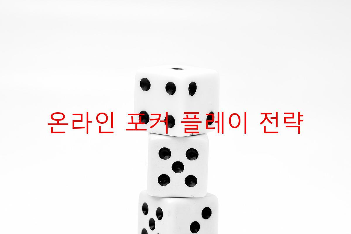 온라인 포커 플레이 전략