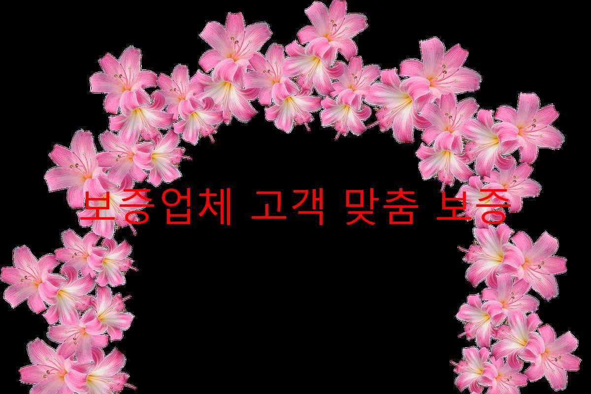 보증업체 고객 맞춤 보증