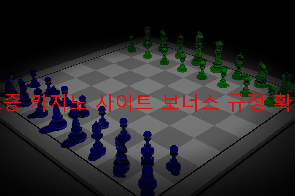 보증 카지노 사이트 보너스 규정 확인