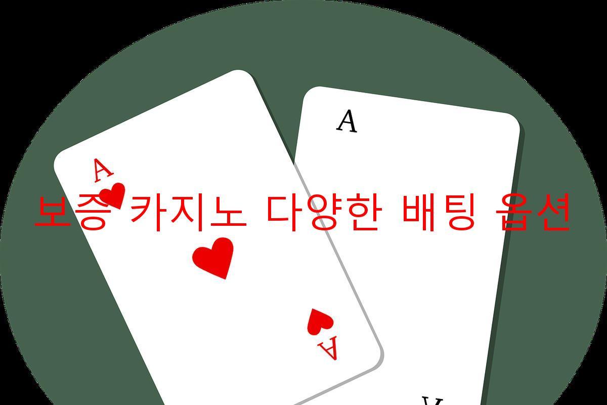 보증 카지노 다양한 배팅 옵션