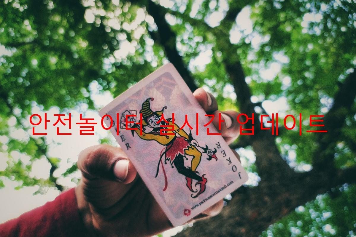 안전놀이터 실시간 업데이트