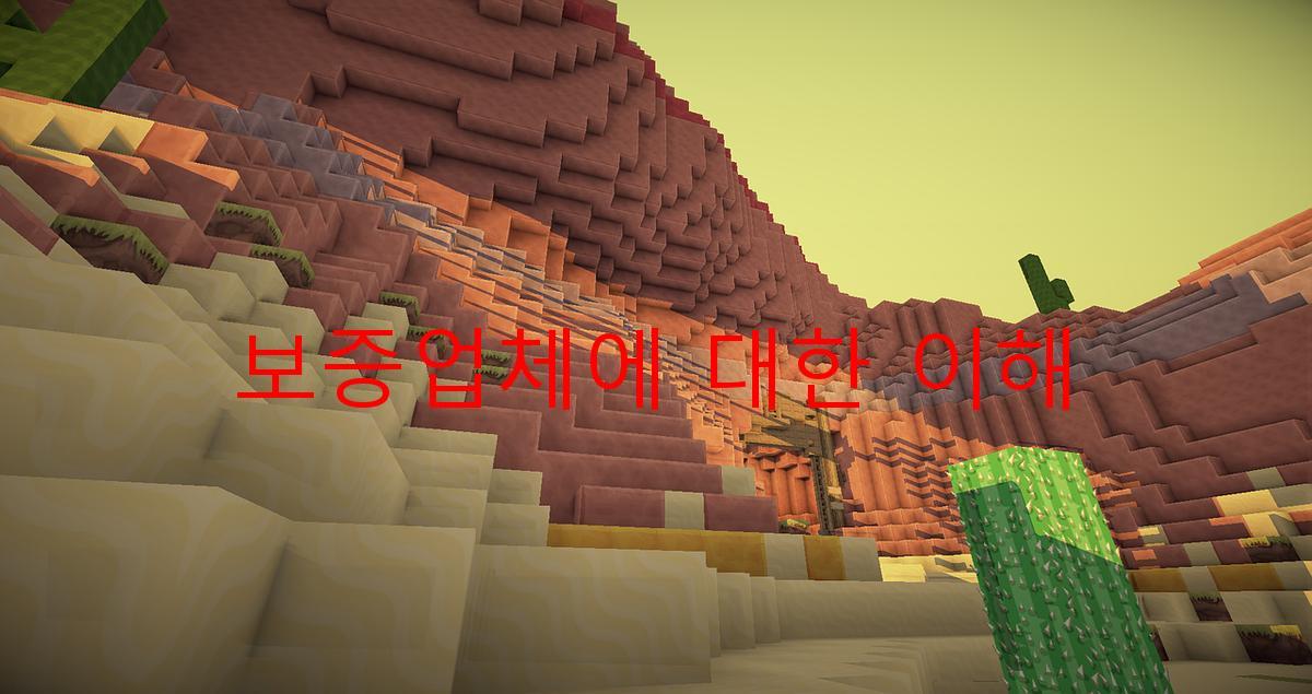 보증업체에 대한 이해