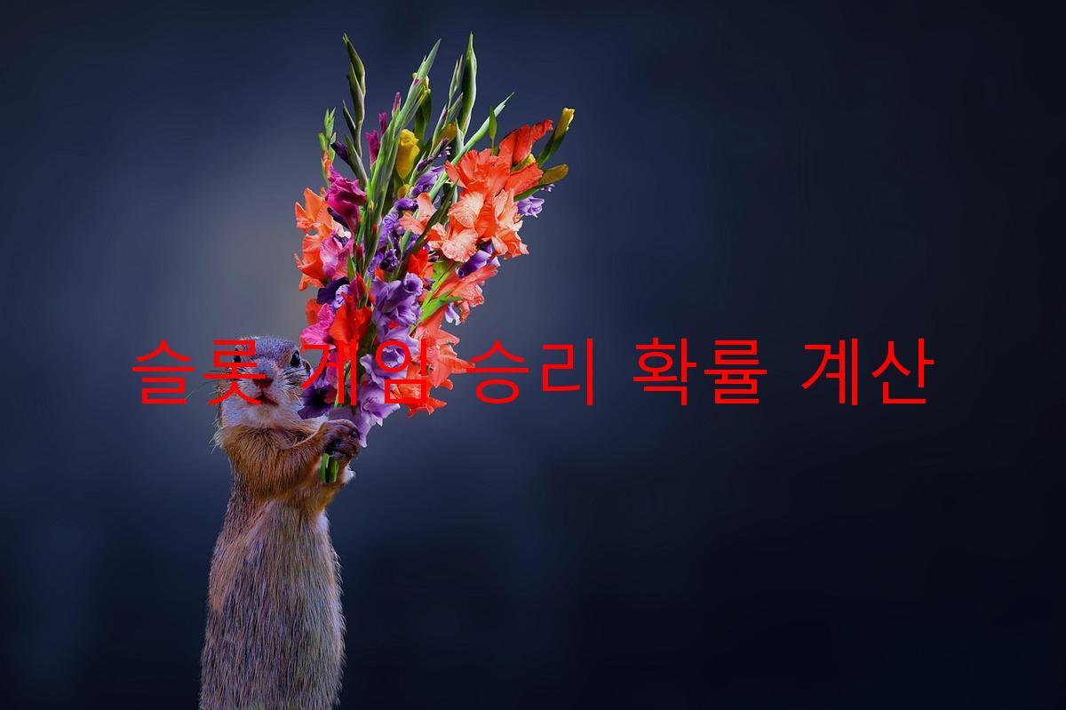 슬롯 게임 승리 확률 계산