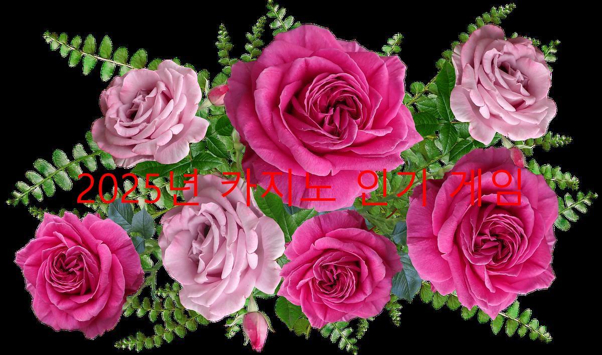 2025년 카지노 인기 게임