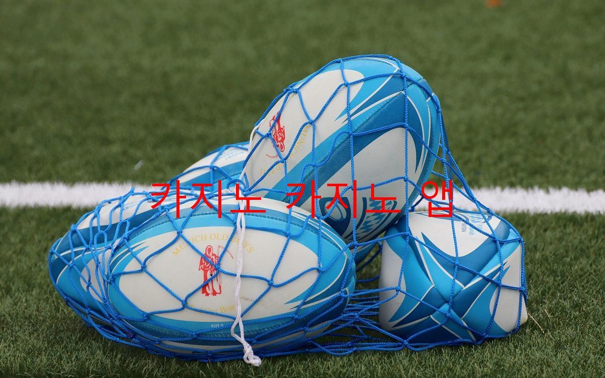 카지노 카지노 앱