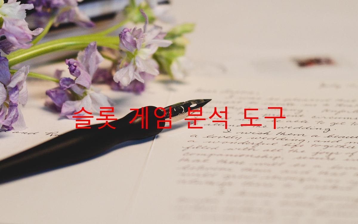 슬롯 게임 분석 도구