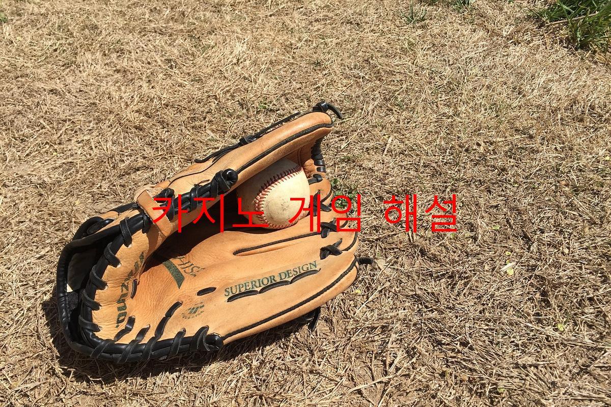 카지노 게임 해설