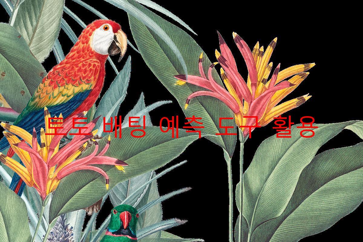 토토 배팅 예측 도구 활용