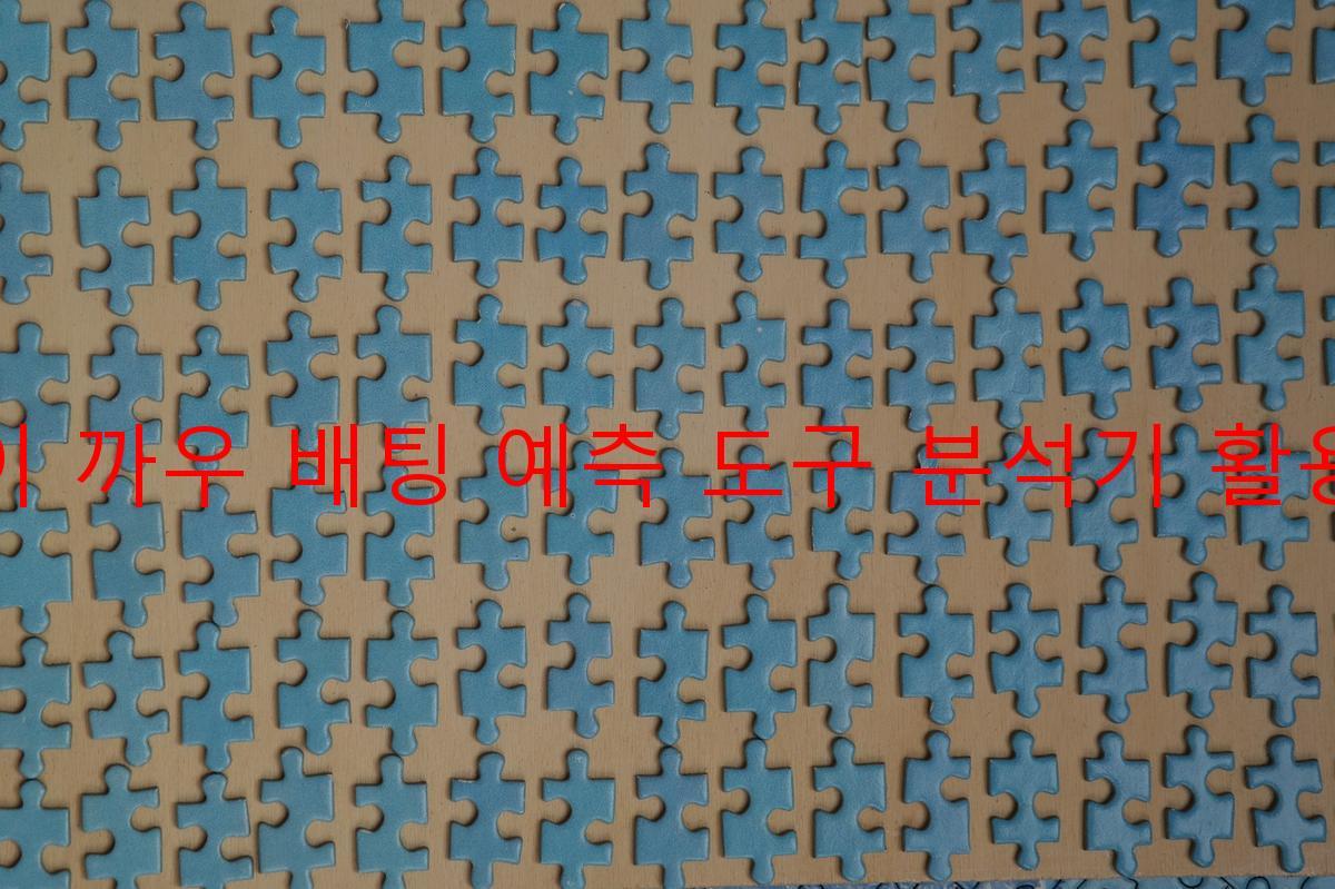 빠이 까우 배팅 예측 도구 분석기 활용법