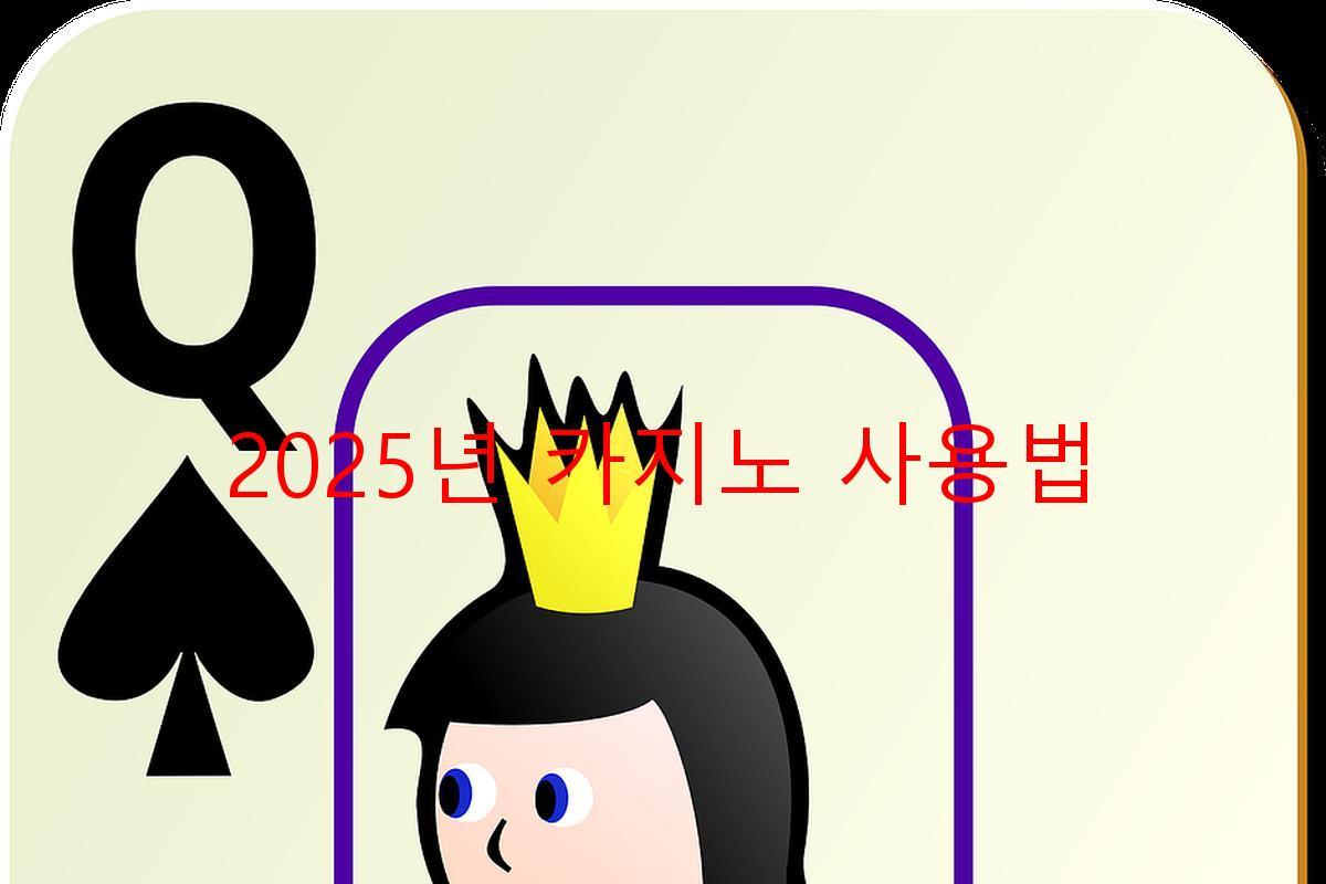 2025년 카지노 사용법