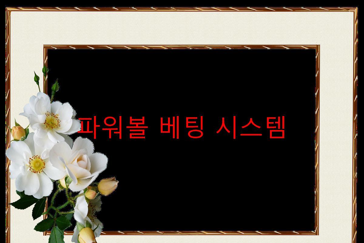 파워볼 베팅 시스템