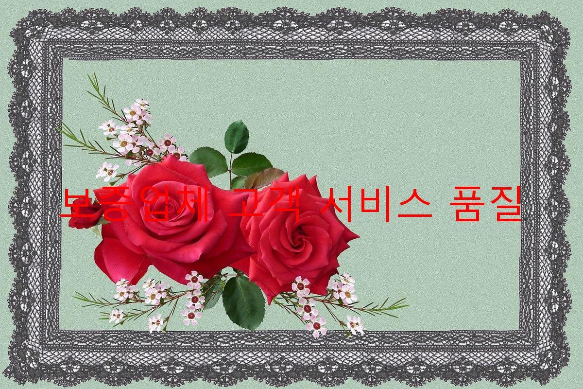 보증업체 고객 서비스 품질