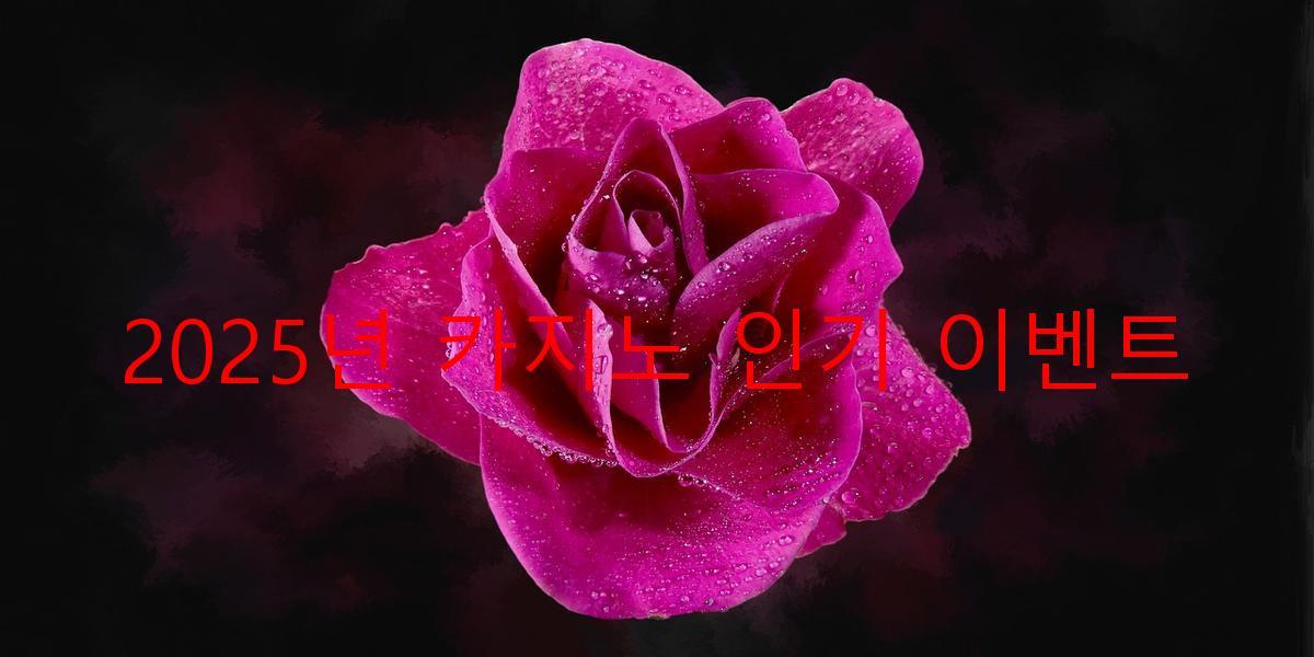 2025년 카지노 인기 이벤트