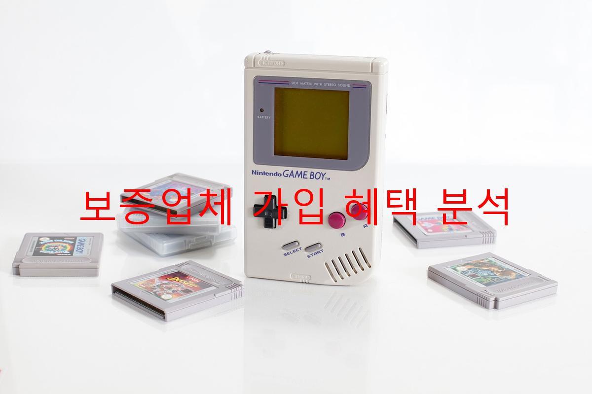 보증업체 가입 혜택 분석