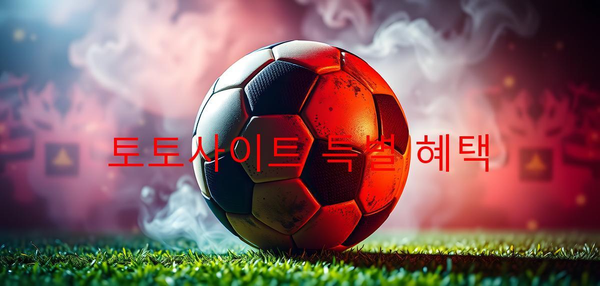 토토사이트 특별 혜택