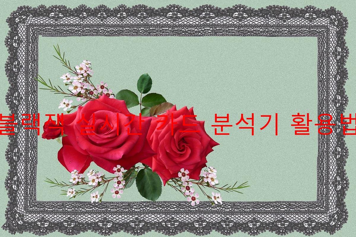 블랙잭 실시간 카드 분석기 활용법