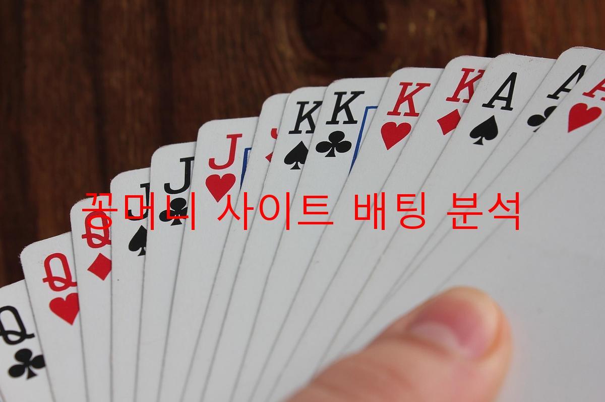 꽁머니 사이트 배팅 분석