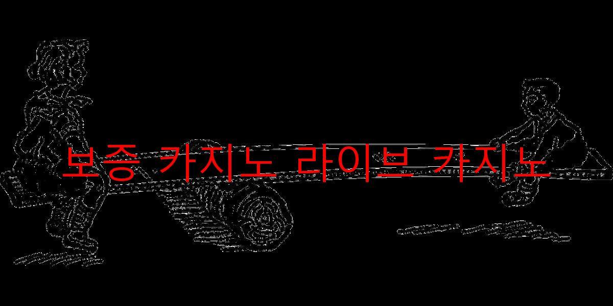 보증 카지노 라이브 카지노