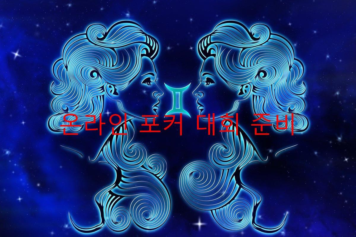 온라인 포커 대회 준비