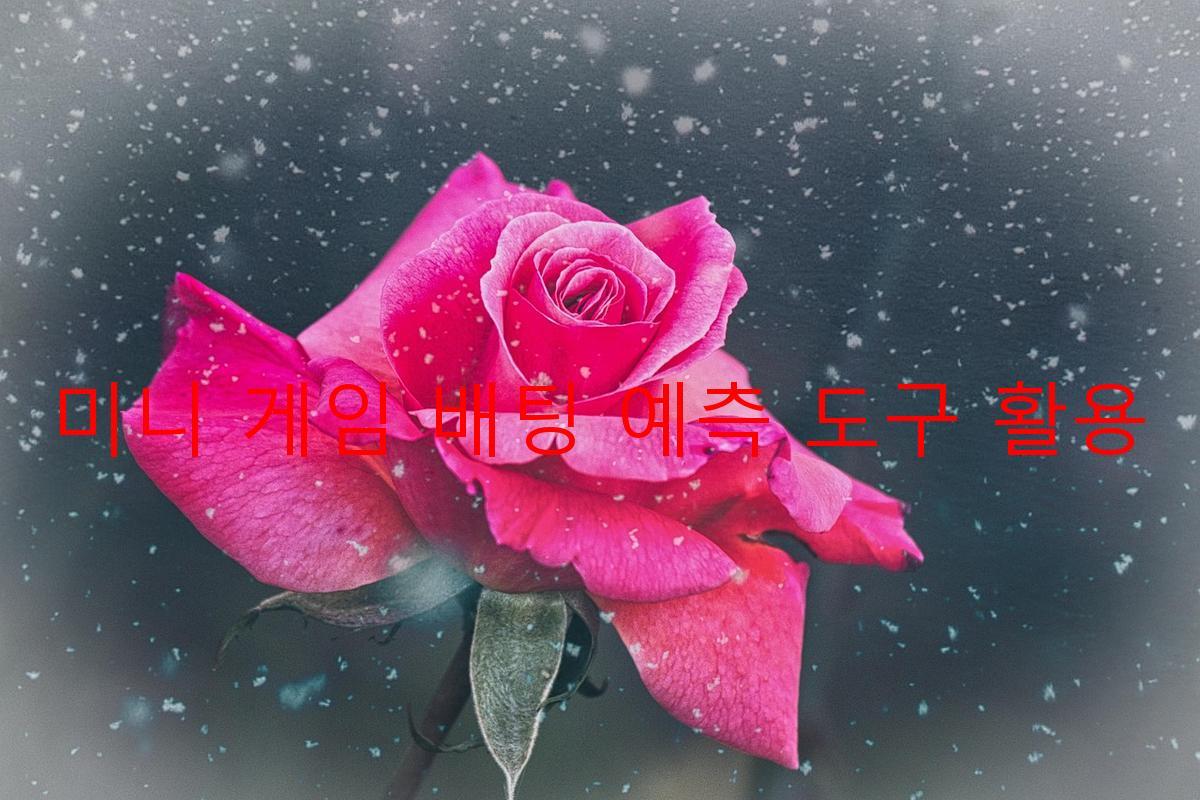 미니 게임 배팅 예측 도구 활용