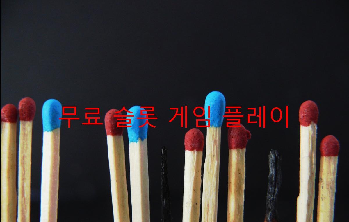 무료 슬롯 게임 플레이