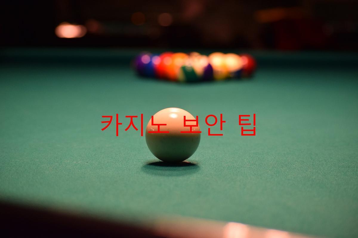 카지노 보안 팁