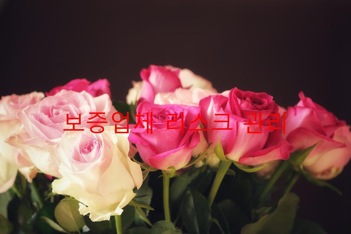 보증업체 리스크 관리