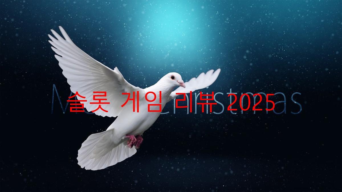 슬롯 게임 리뷰 2025