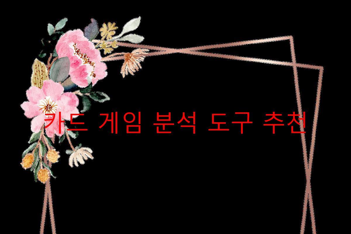 카드 게임 분석 도구 추천