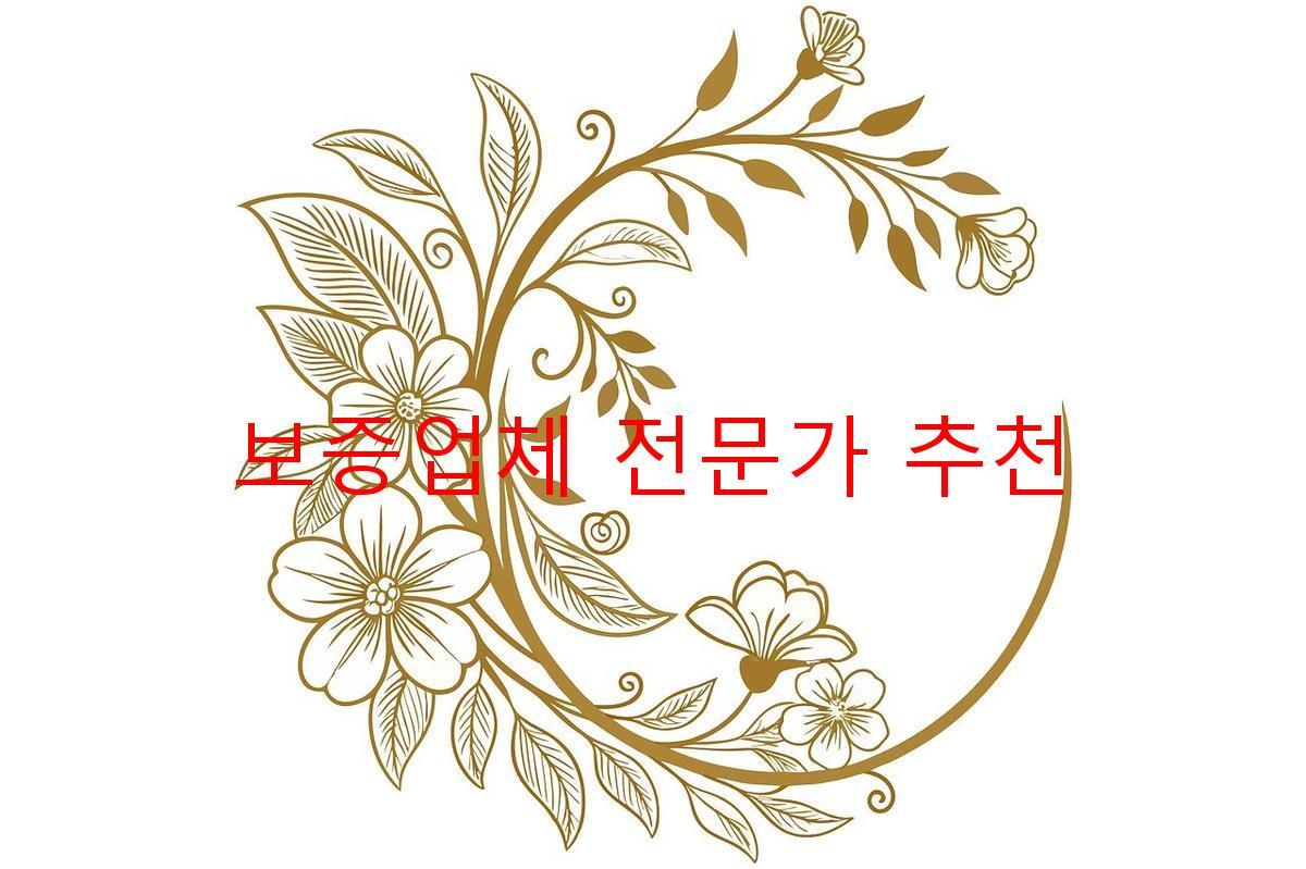 보증업체 전문가 추천