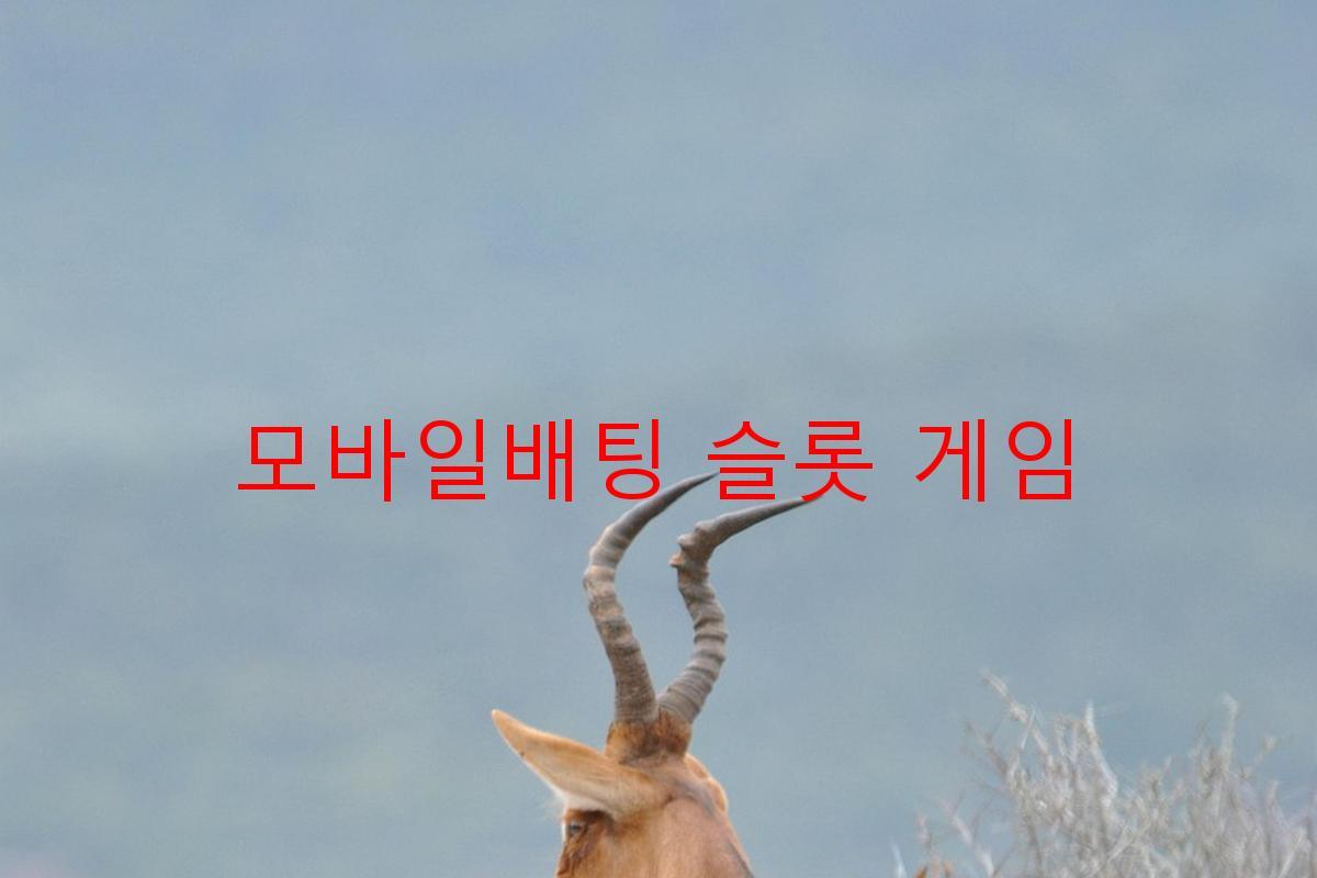 모바일배팅 슬롯 게임