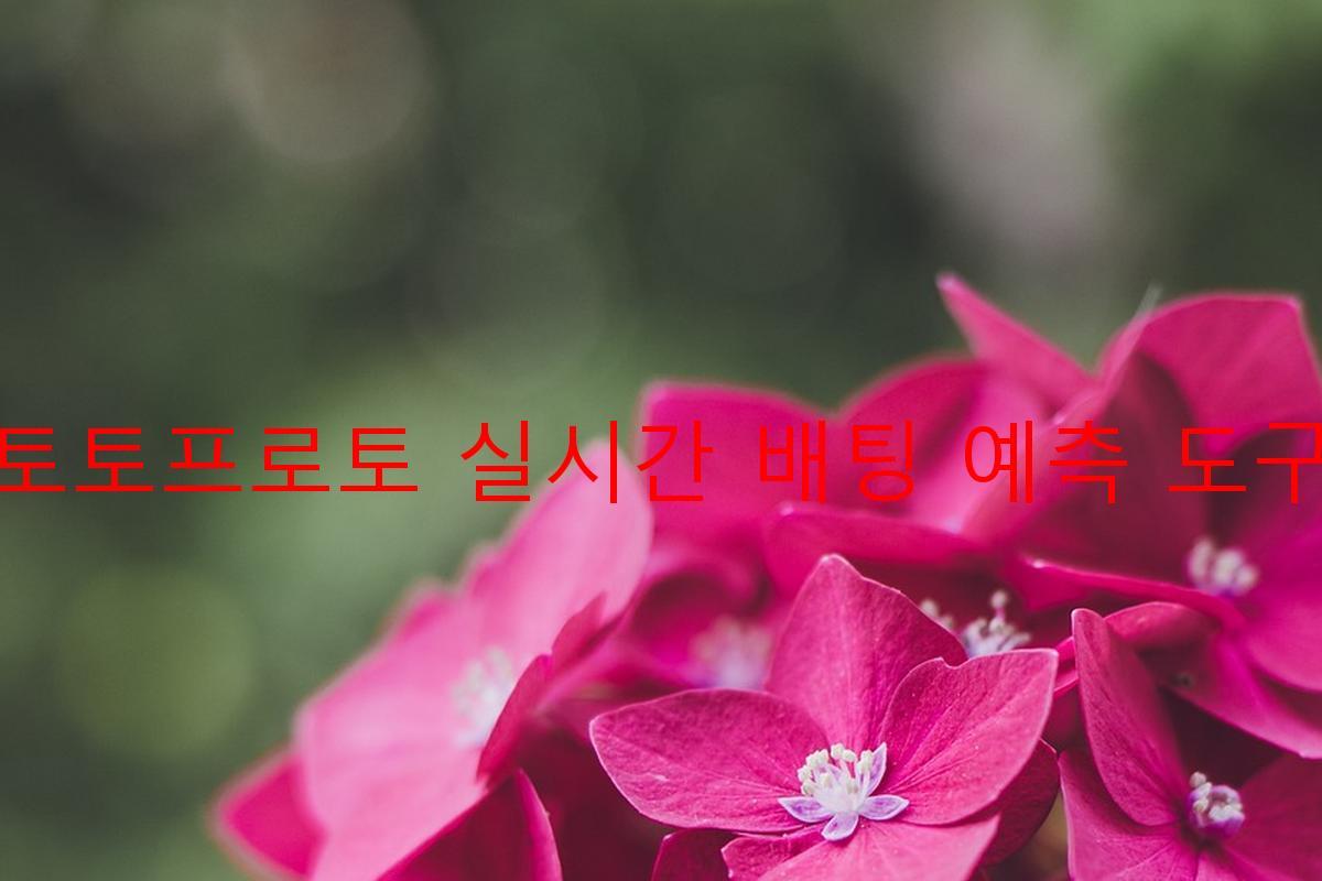 토토프로토 실시간 배팅 예측 도구