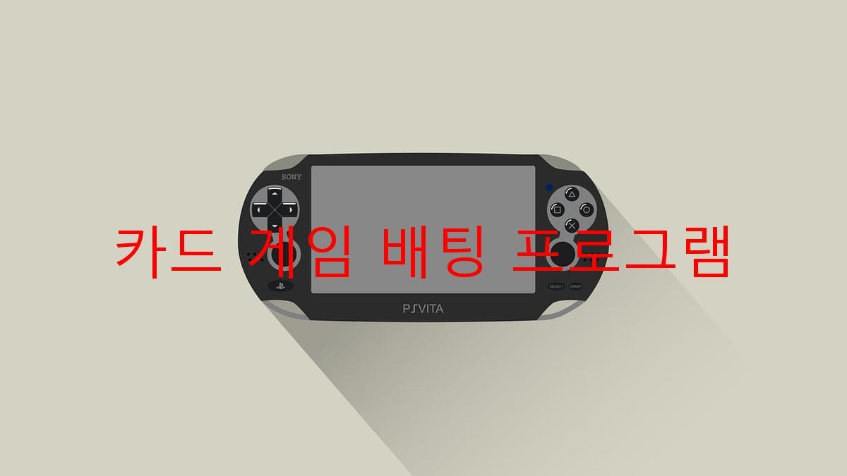 카드 게임 배팅 프로그램