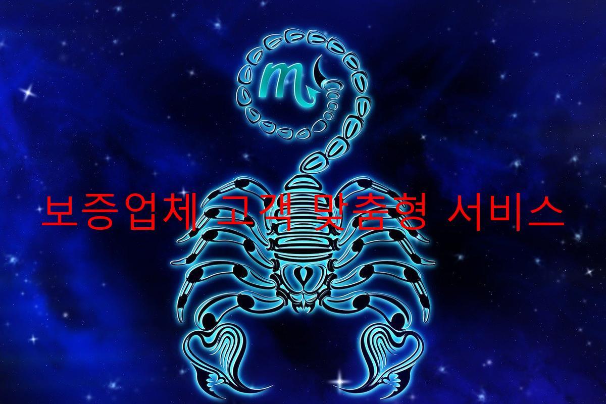 보증업체 고객 맞춤형 서비스