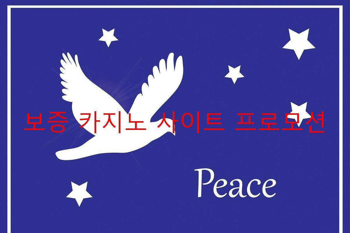 보증 카지노 사이트 프로모션