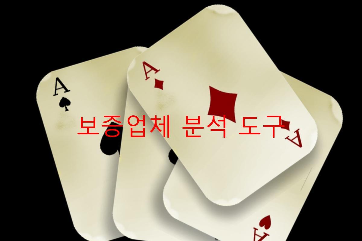 보증업체 분석 도구