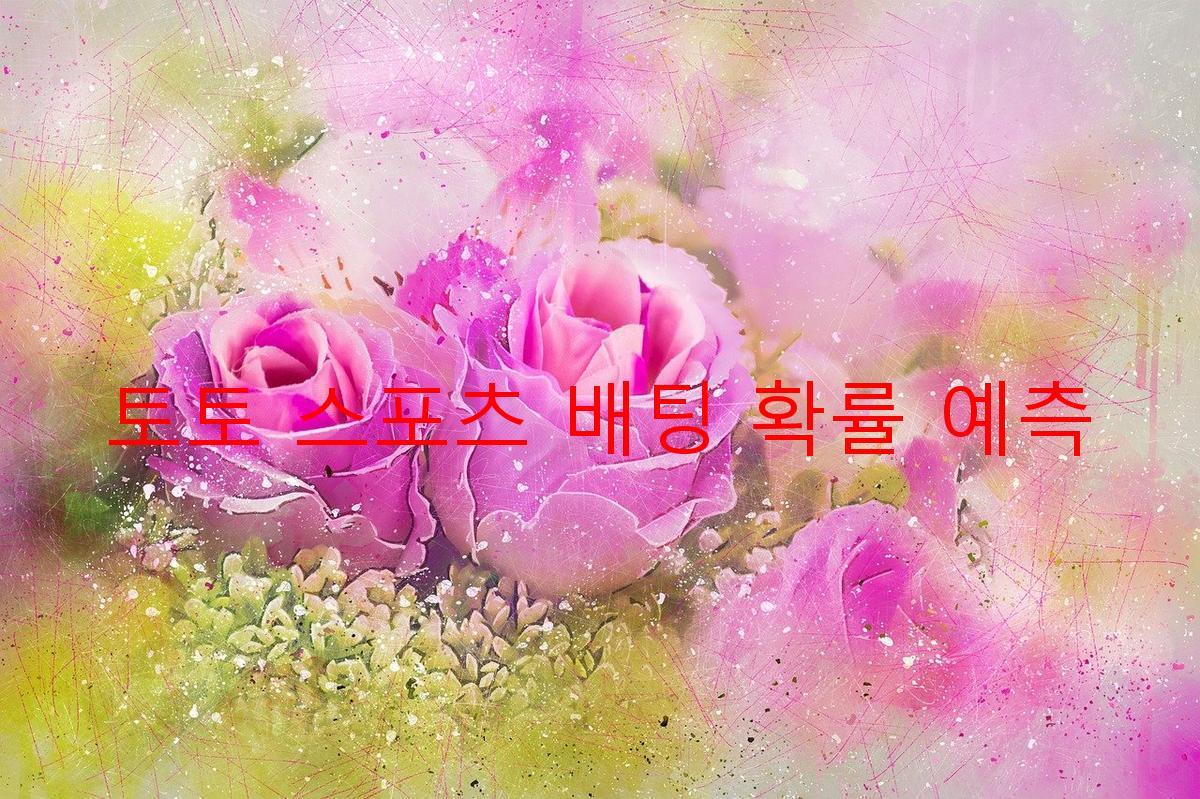 토토 스포츠 배팅 확률 예측