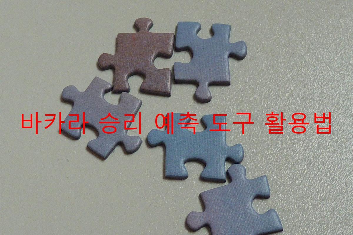 바카라 승리 예측 도구 활용법