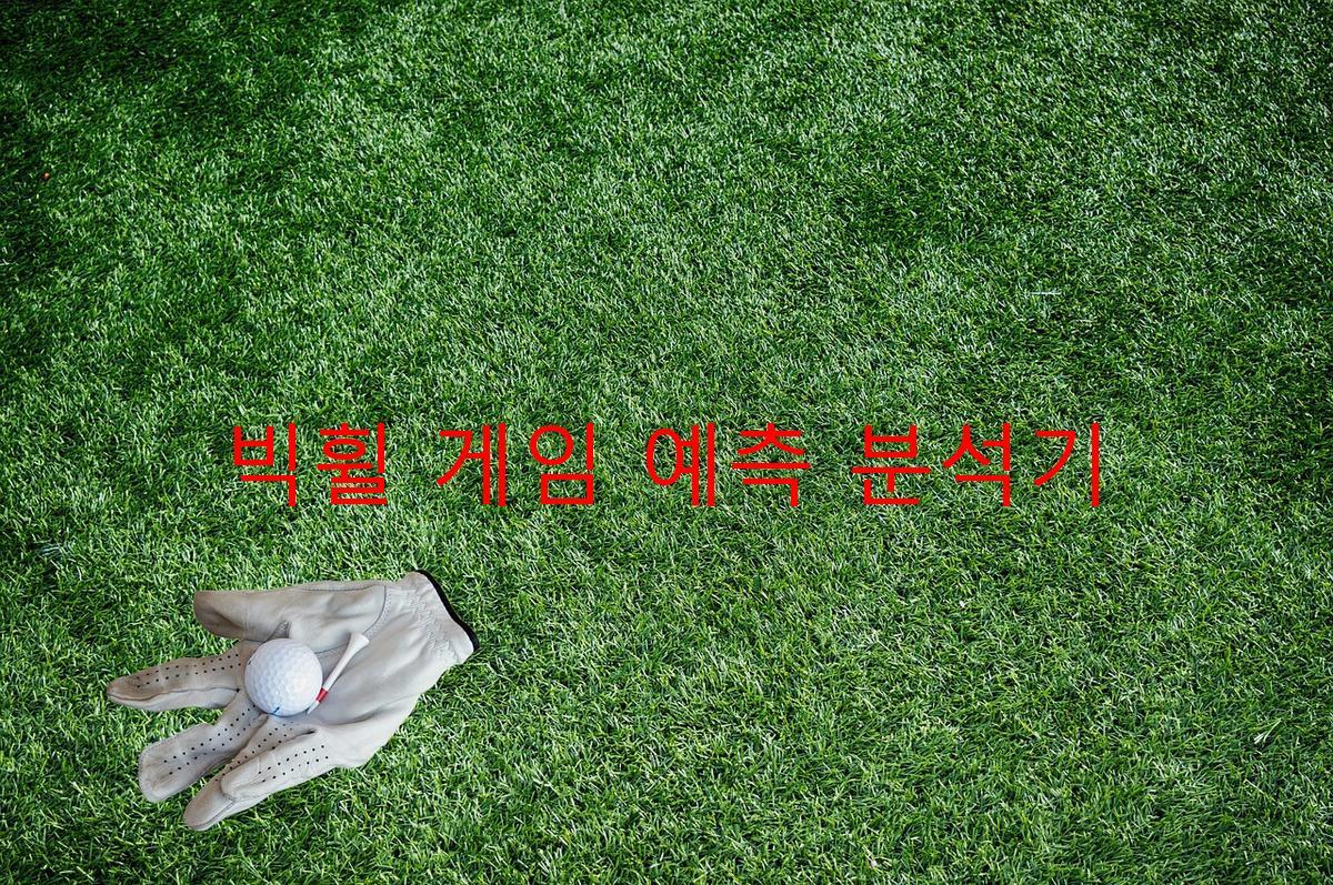 빅휠 게임 예측 분석기