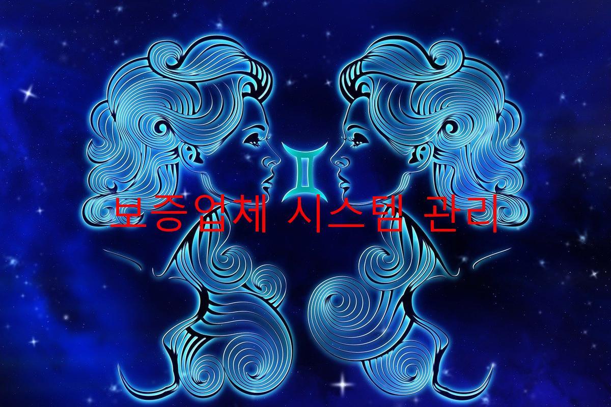 보증업체 시스템 관리