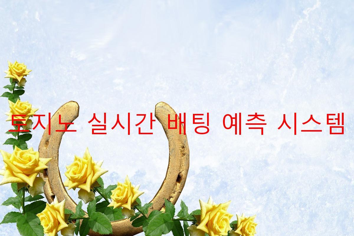 토지노 실시간 배팅 예측 시스템