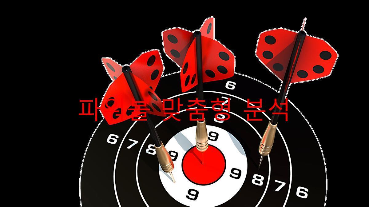 파워볼 맞춤형 분석