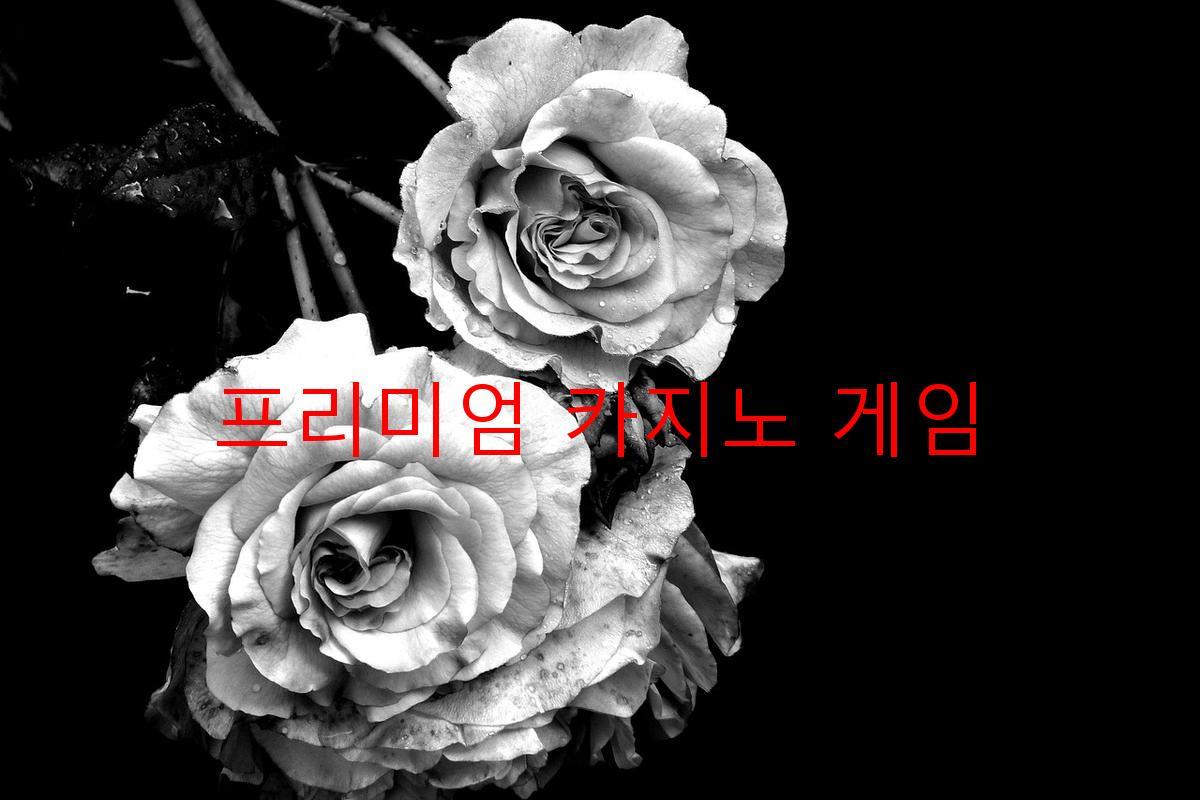 프리미엄 카지노 게임