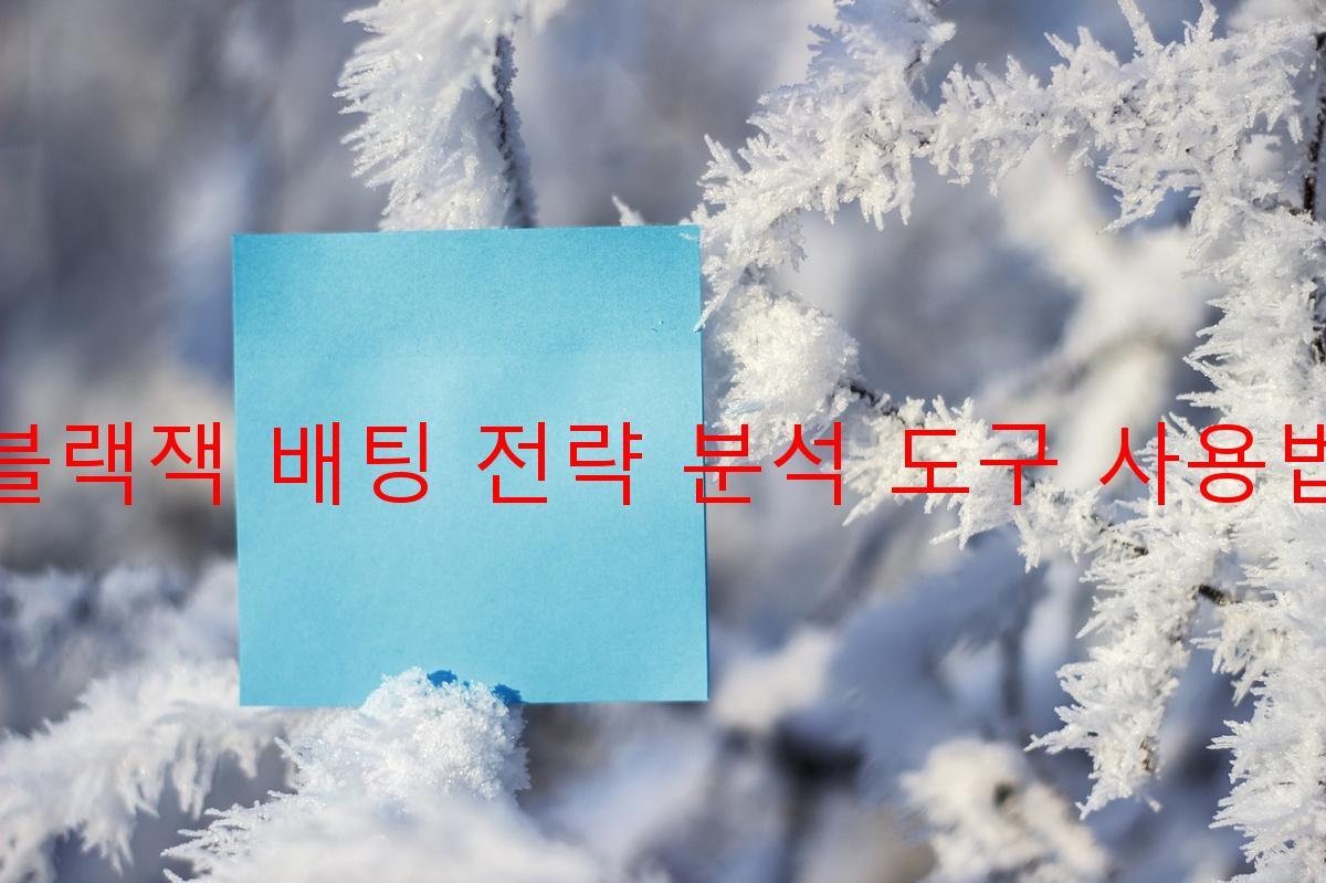 블랙잭 배팅 전략 분석 도구 사용법