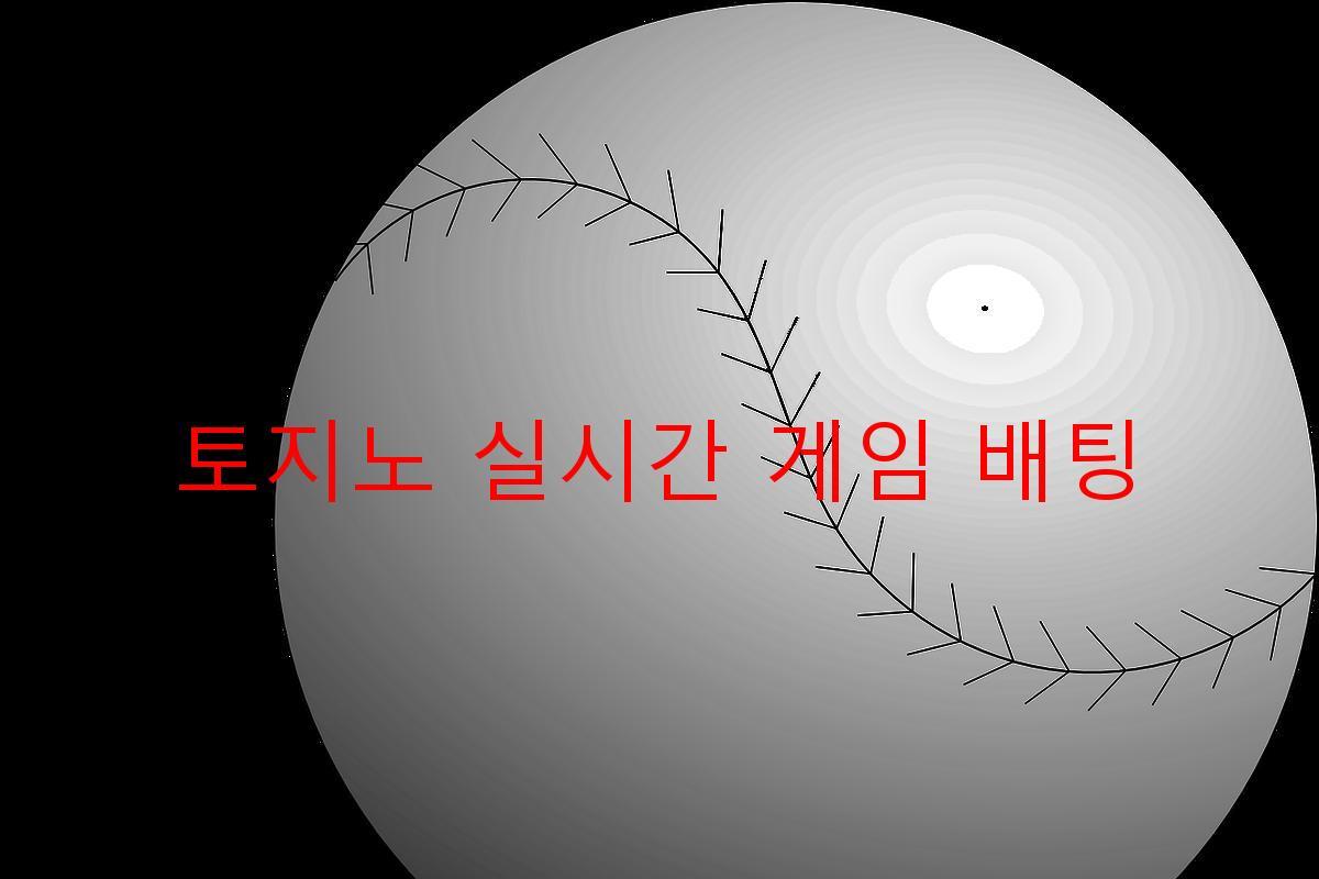 토지노 실시간 게임 배팅