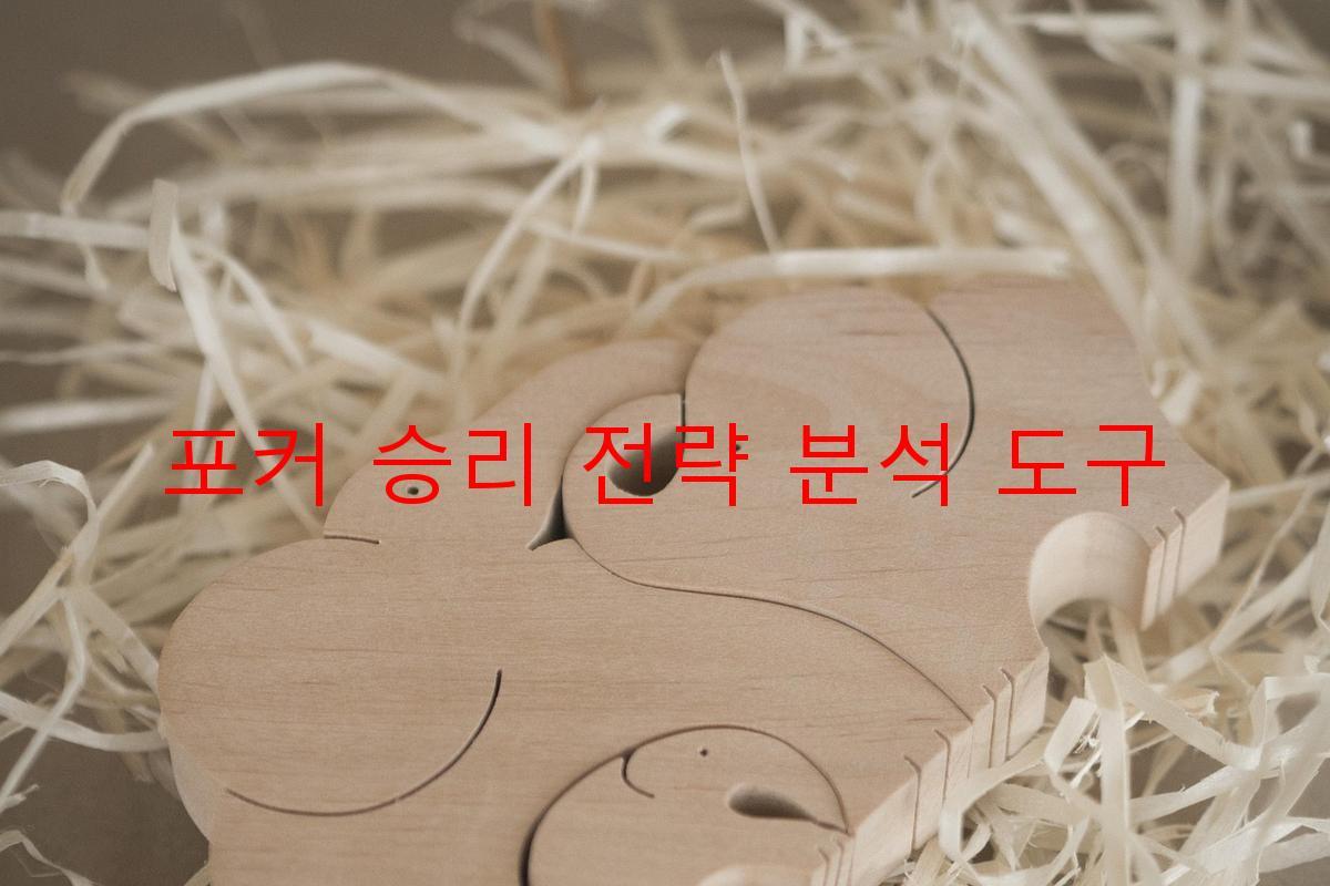 포커 승리 전략 분석 도구