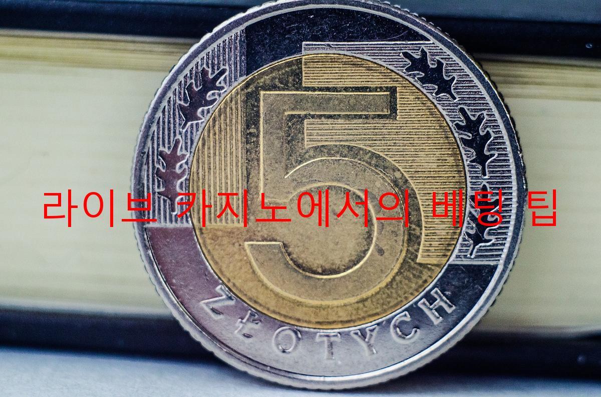 라이브 카지노에서의 베팅 팁